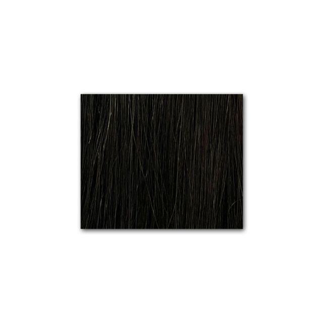 Fantsy #2  Tape In Extensions 24inch