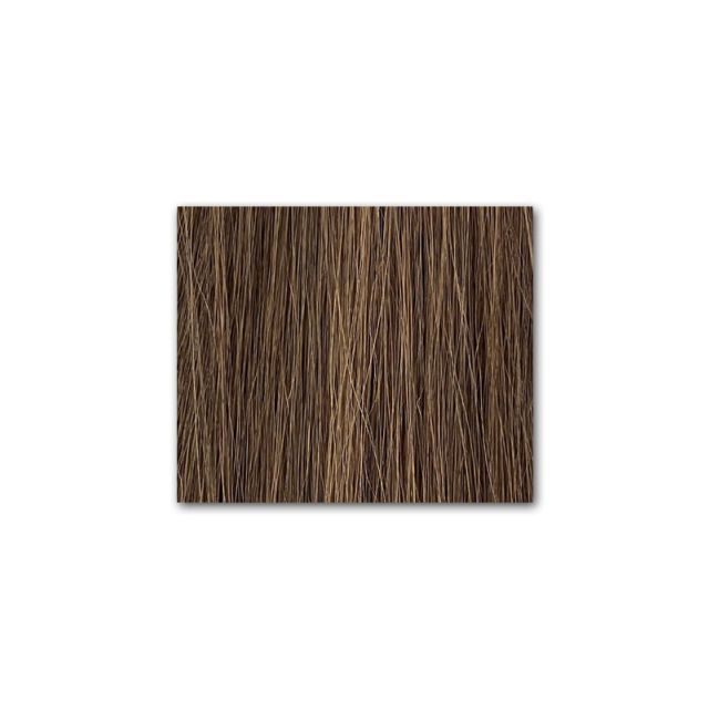 Fantsy Tape In Hair Extensions #4 20" 10pk