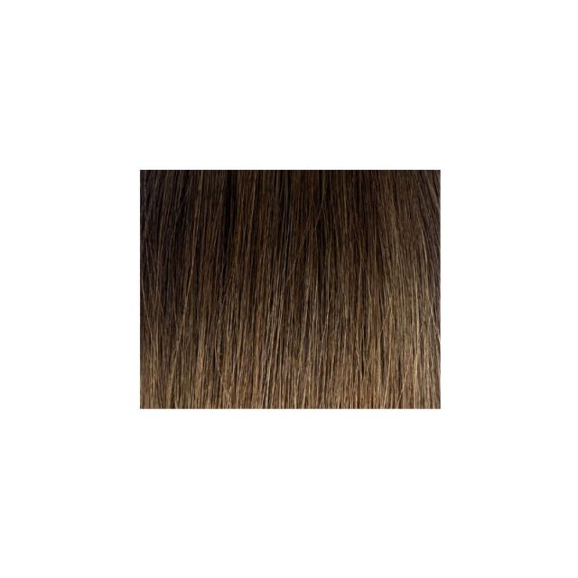 Fantsy Genius Weft Extensions #2-6/10T 40g 2pc 22" Length