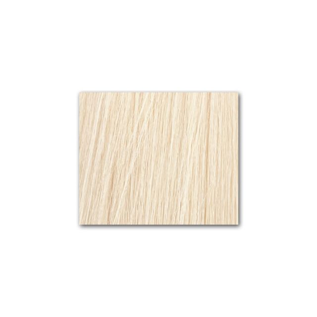 Fantsy 22" Genius Weft Extensions #60 40g 2pc 22" Length