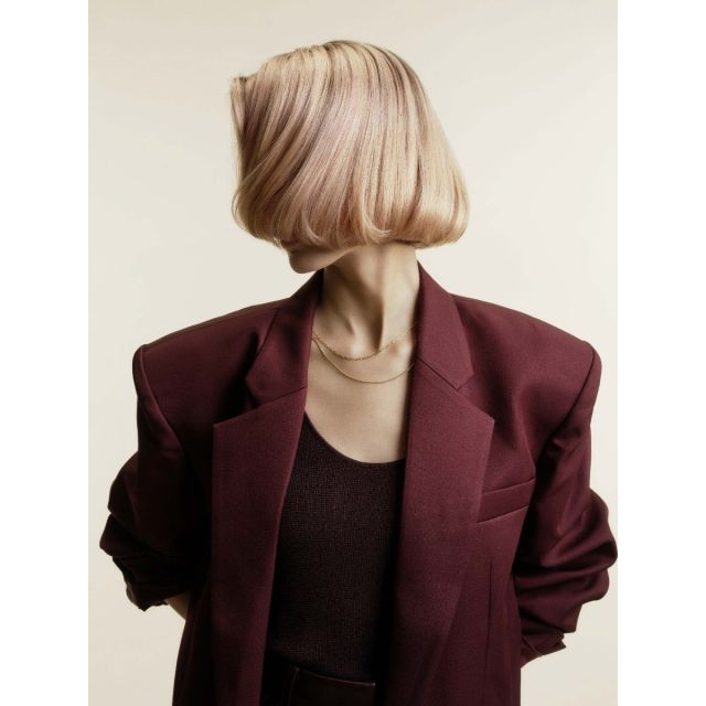Schwarzkopf Toner Decoded Swatching Workshop October 5th Chatham Location
